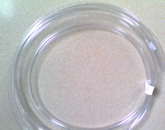 ��ݸ��������