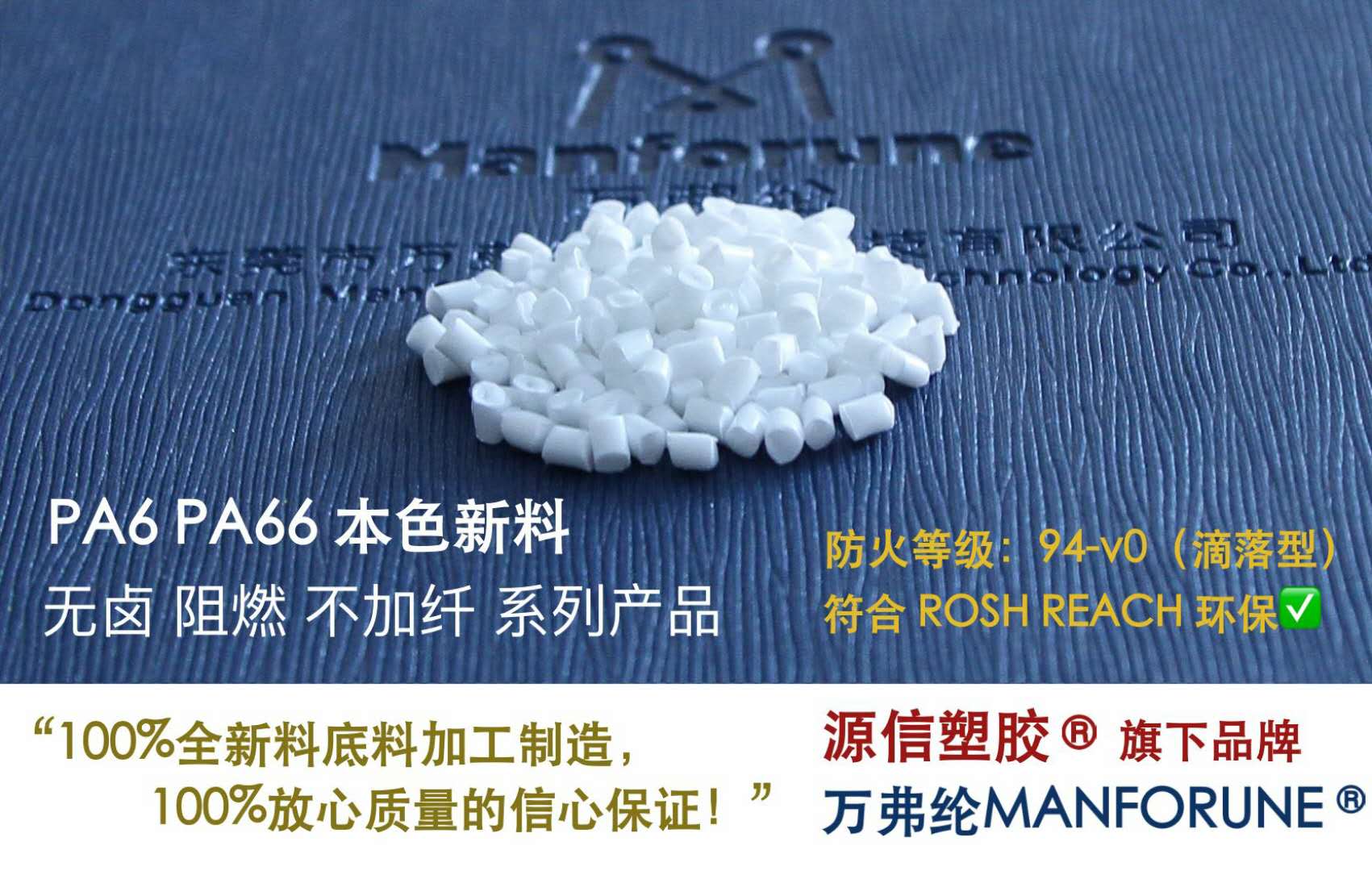 ��ݸ����